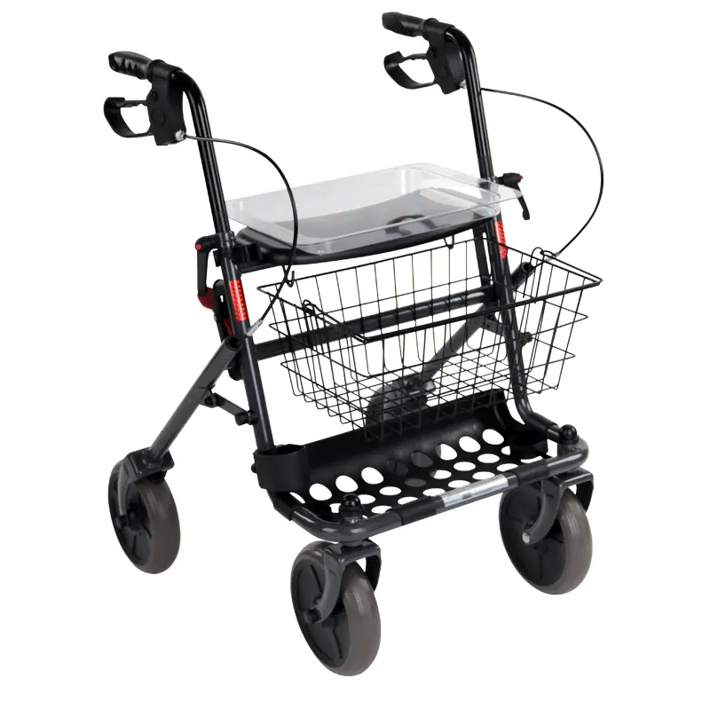 RFM Rollator Actimo Basic