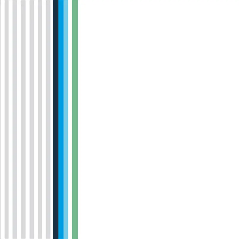 Bettbezug B1 Polygiene Satin