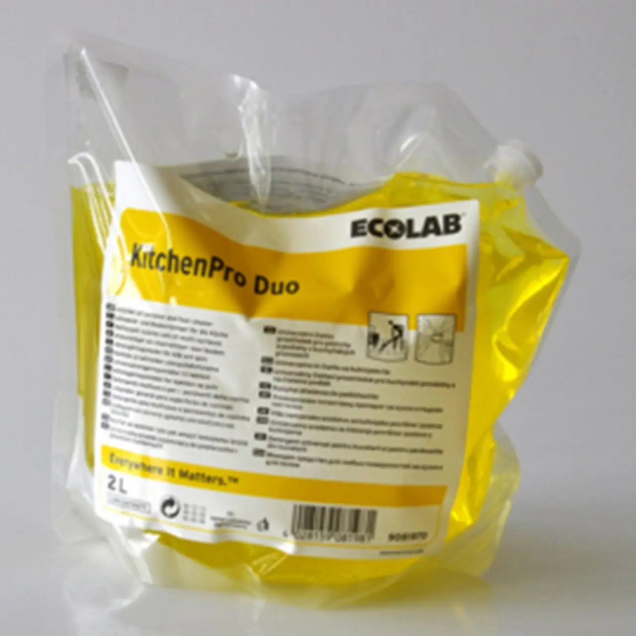 ECOLAB KitchenPro Duo Allzweck- und Bodenreiniger